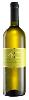 Verdicchio dei Castelli di Jesi